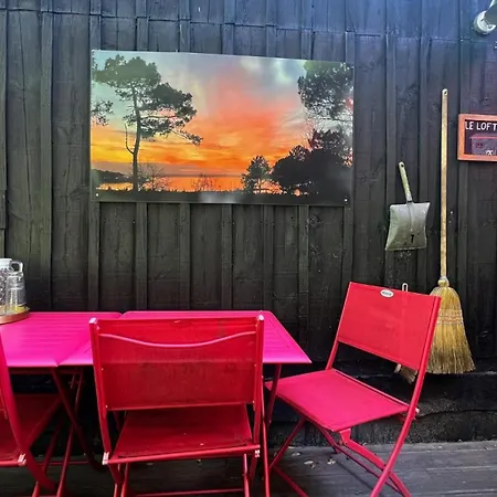 Leloft Au Dessus Des Pins Lacanau