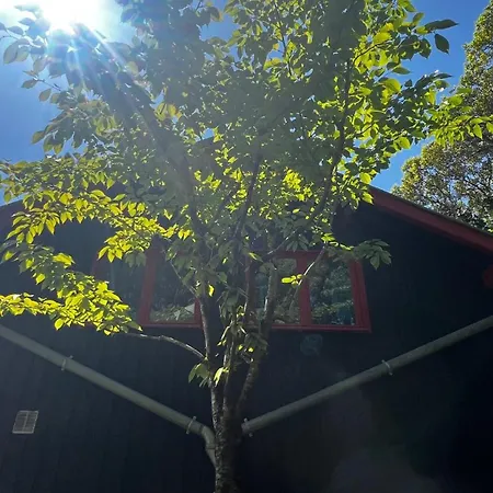 Leloft Au Dessus Des Pins Horská chata *