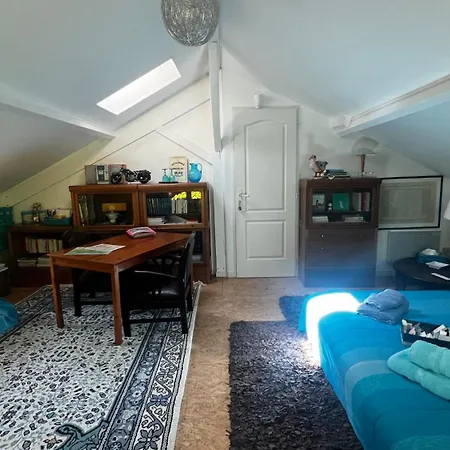 Leloft Au Dessus Des Pins *