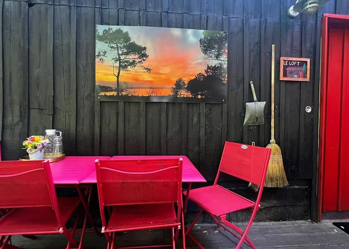 Leloft Au Dessus Des Pins Lacanau