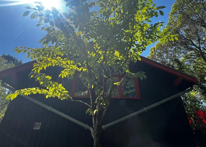 Leloft Au Dessus Des Pins Horská chata *