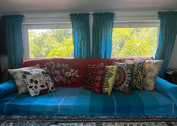 Leloft Au Dessus Des Pins