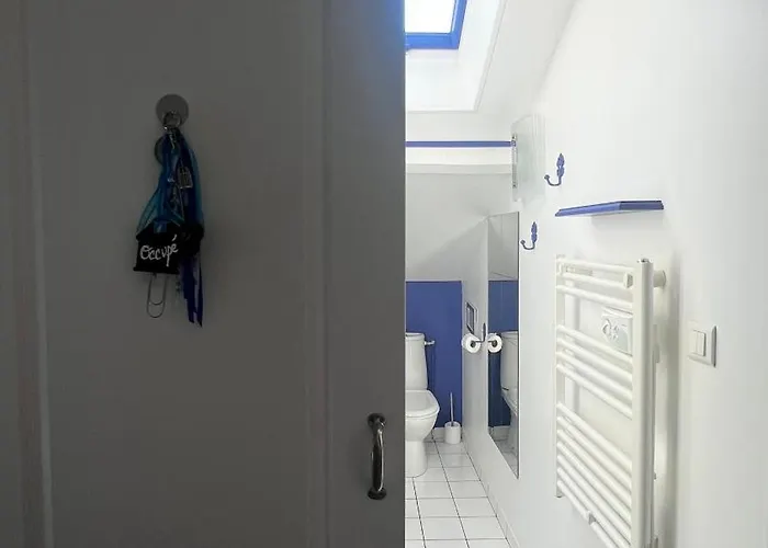 Leloft Au Dessus Des Pins Lacanau