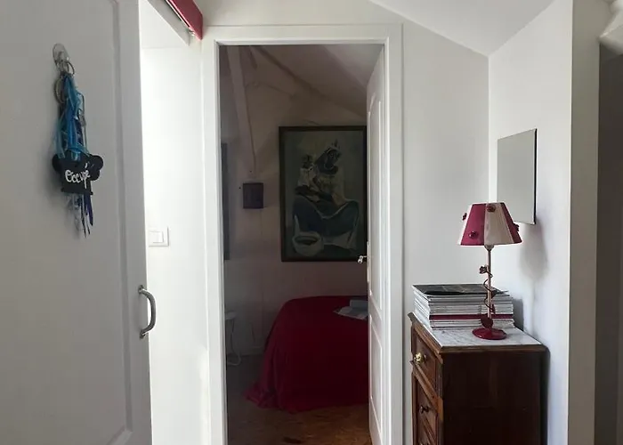 Leloft Au Dessus Des Pins Lacanau