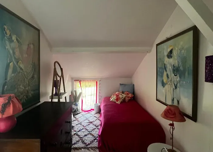 Leloft Au Dessus Des Pins