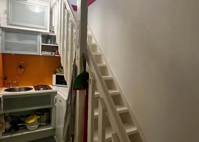 Leloft Au Dessus Des Pins * Lacanau