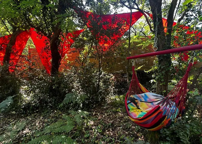 Leloft Au Dessus Des Pins *