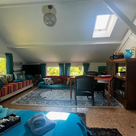 Chalet Leloft Au Dessus Des Pins Lacanau