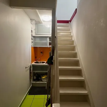 Leloft Au Dessus Des Pins Lacanau